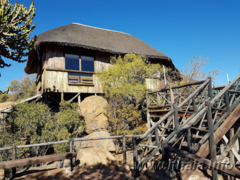 Elevated thatched lodge building at the 10-sleeper Mhlangeni Bush Camp