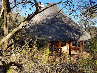 Exterior of a two-sleeper thatched chalet at Ntshondwe Camp in Ithala Game Reserve