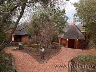 Thatched lodge buildings and pathways at Ntshondwe Camp in Ithala Game Reserve